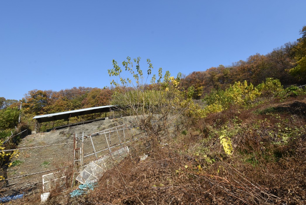 수안보 전원주택 사업부지 이미지 4