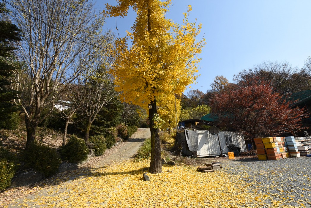 수안보 전원주택 사업부지 이미지 1