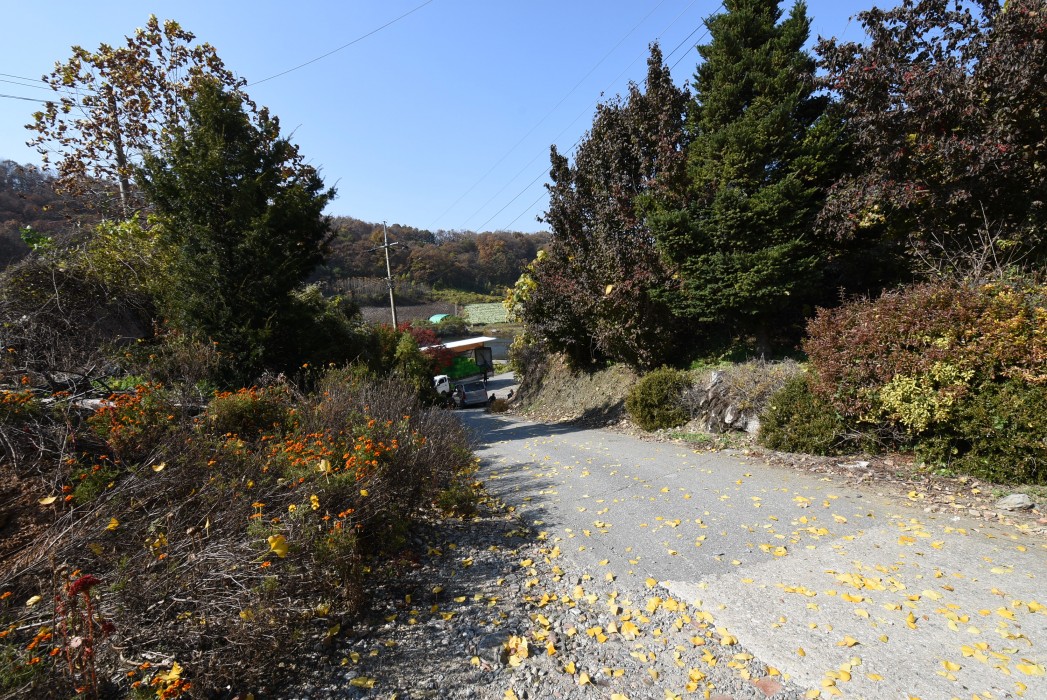 수안보 전원주택 사업부지 이미지 6