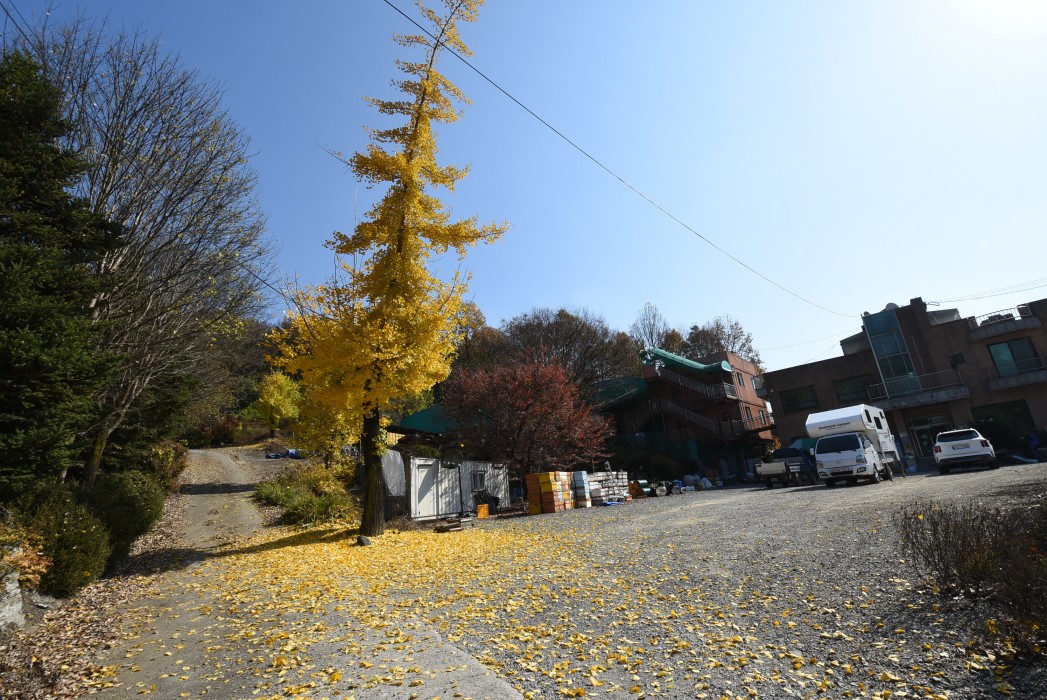 수안보 전원주택 사업부지 이미지 7