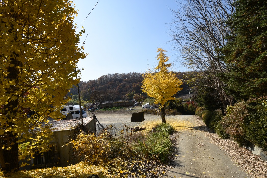 수안보 전원주택 사업부지 이미지 5